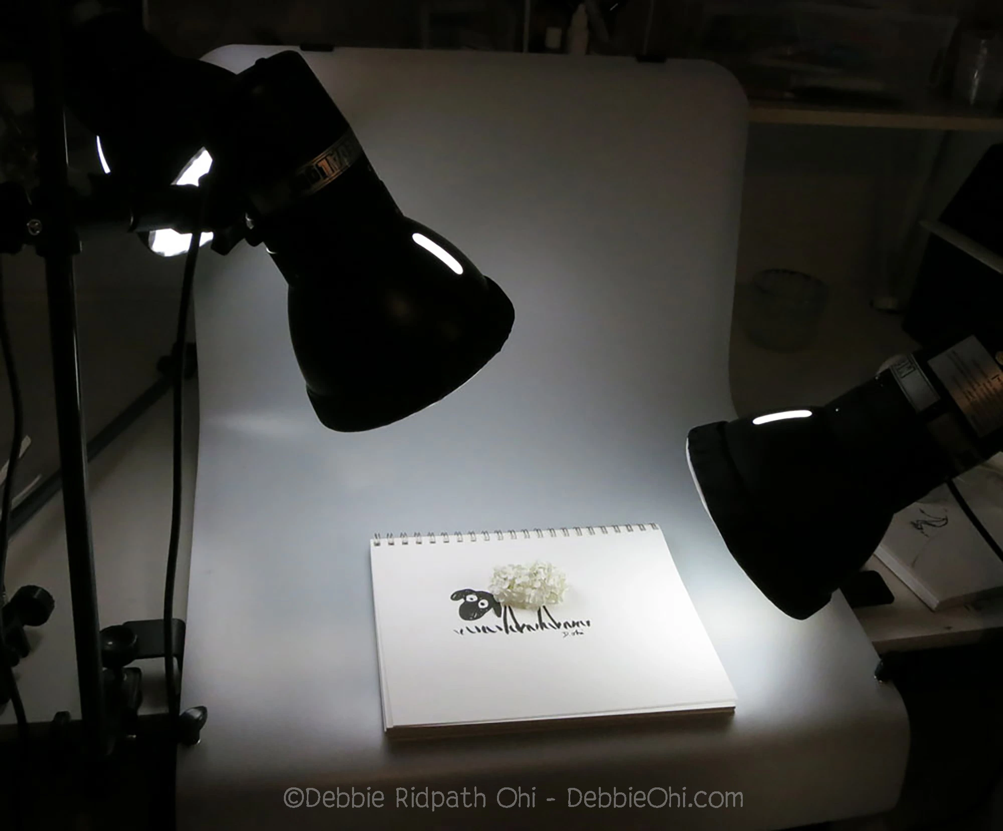 Photo of lights shining on notebook with found object art of sheep and lilac blossom
